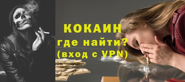spice Дмитриев