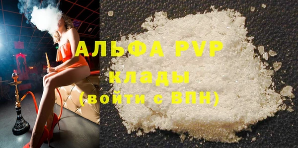 spice Дмитриев