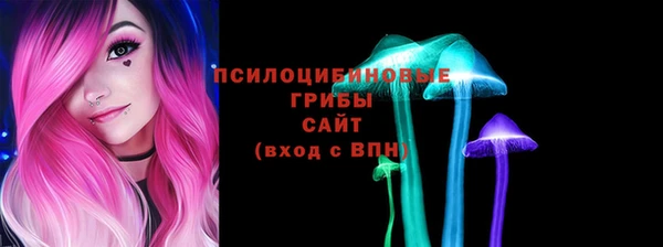 герыч Дмитров