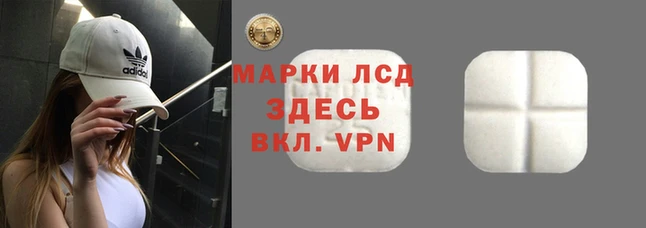 прущие грибы Елабуга