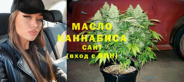 spice Дмитриев