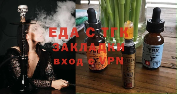 spice Дмитриев