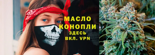 прущие грибы Елабуга
