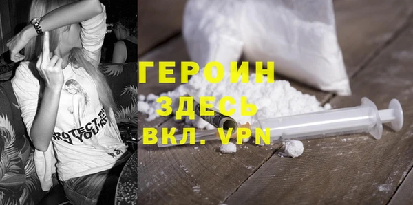 прущие грибы Елабуга