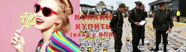 гидра Дмитровск