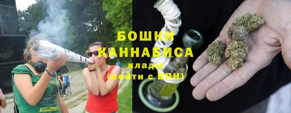 spice Дмитриев